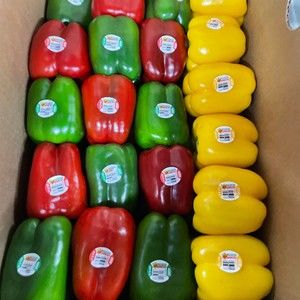 Meet your Posher, Matilde